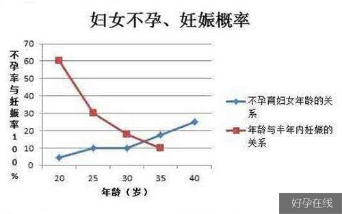 俄罗斯试管婴儿成功率是多少