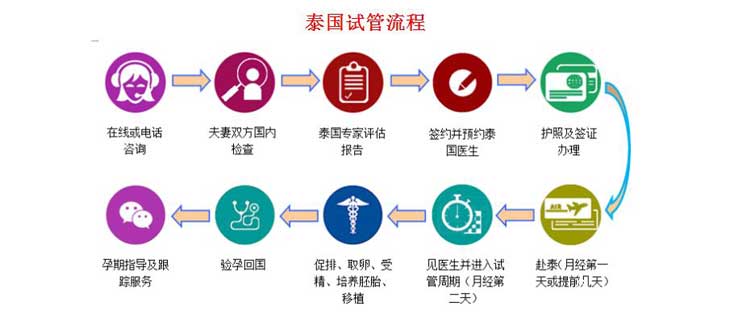 泰国试管婴儿流程图