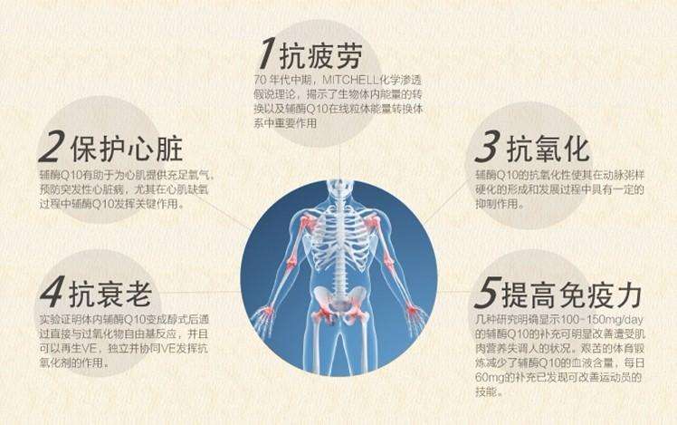 辅酶q10的作用功效