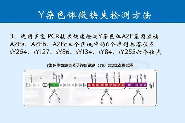 Y染色体微缺失检查