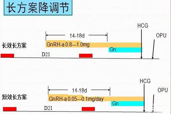 试管婴儿长方案