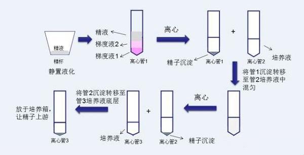 洗精原理与流程